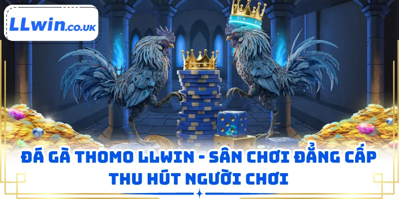Đá Gà Thomo LLWIN - Sân Chơi Đẳng Cấp Thu Hút Người Chơi