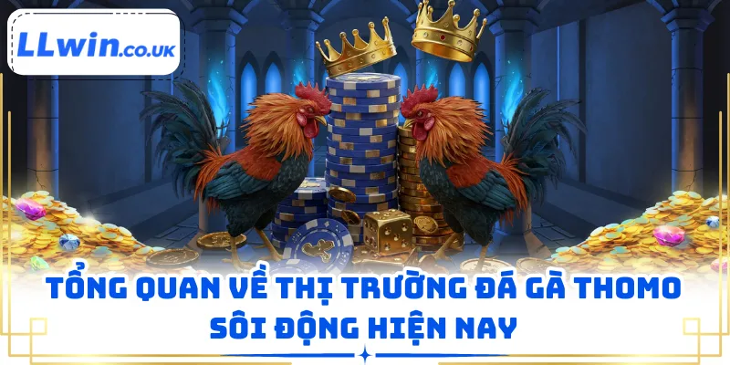 Tổng quan về thị trường đá gà thomo sôi động hiện nay